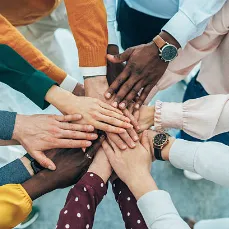 Collaboration & Support